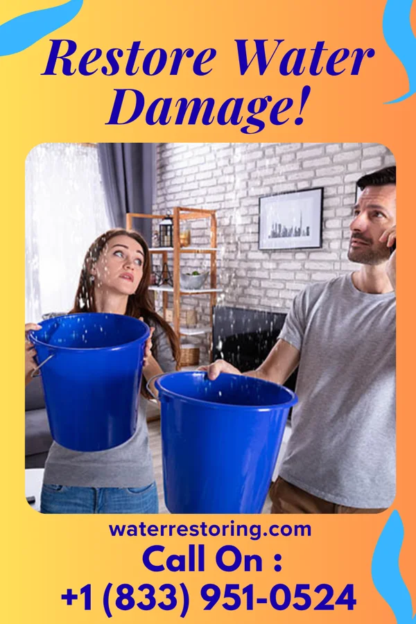 water restoration Royal Water Repair Company Richlands