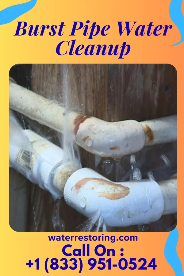 Burst Pipe Water Cleanup in Richlands, NC