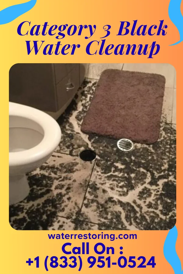 Category 3 Black Water Cleanup in Richlands, NC