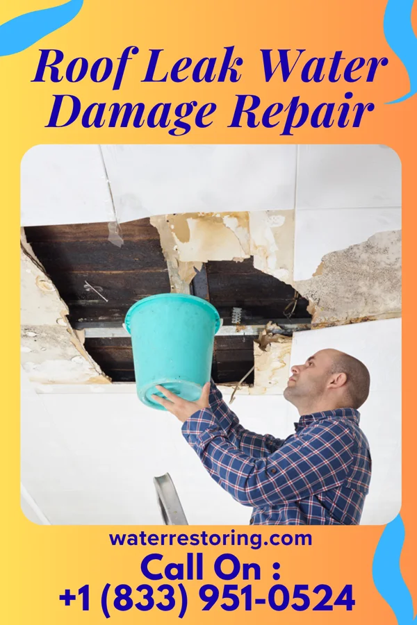 Roof Leak Water Damage Repair in Richlands, NC