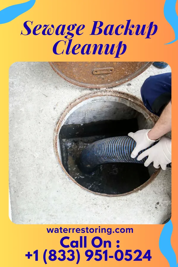 Sewage Backup Cleanup in Richlands, NC