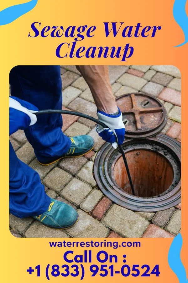 Sewage Water Cleanup in Richlands, NC
