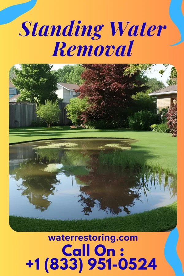 Standing Water Removal in Richlands, NC